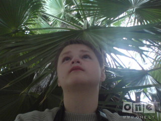 jungle  boy  (ieskau  paneles)  :D