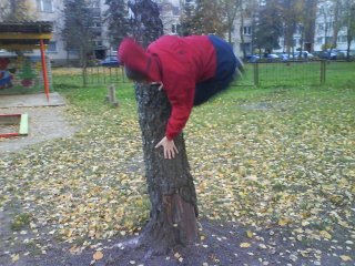 Parkour  xD