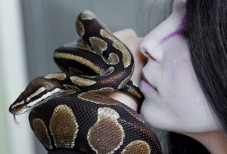 orochimaru  (laisvas)