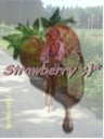 Strawberryk