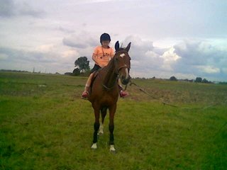 Horses                  its  my  life  ;*♥