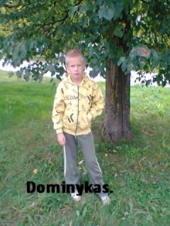 dominykas