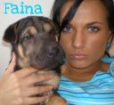 faina