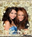 I  best  Selly  and  Miley  fan