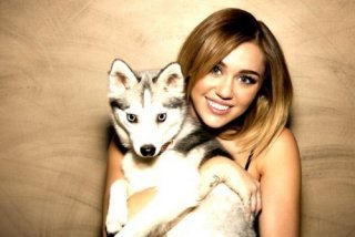 ♥Smiler&Lova tic♥