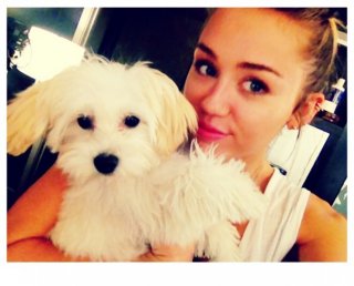 MileyCyrusFan♥