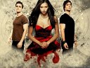 TVD  fan  page