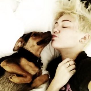 Miley  Cyrus  ♫