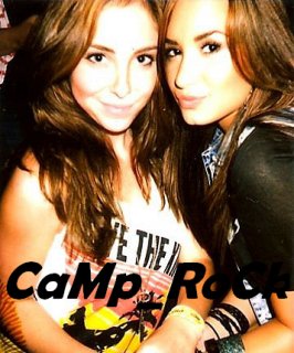 Sel.Gom.  fake  camp_  rock  fake