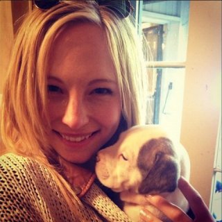 Candice  Accola  (✔)